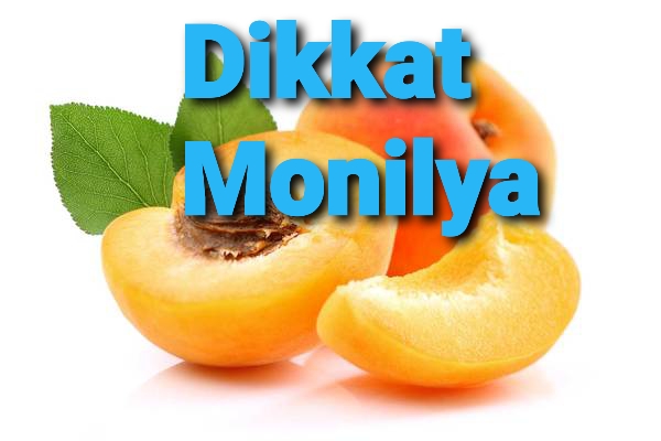 Malatya il Tarım ve Orman Md. dikkat çekti