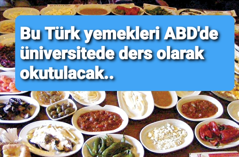 ABD'DE Müfredata girdi.