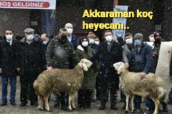 Tokat: