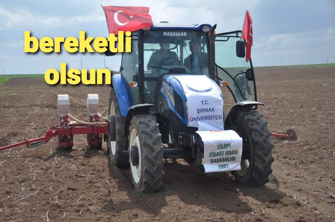 Silopi'de yer fıstığının demonstrasyon ekimi yapıldı.
