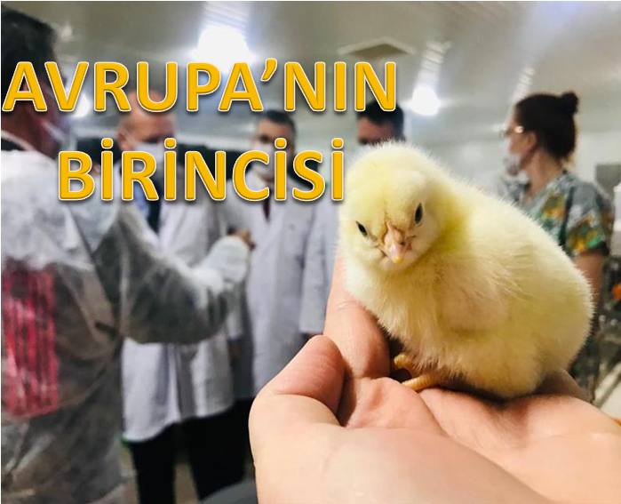 AVRUPA'NIN EN BÜYÜK KULUÇKAHANESİ BALIKESİR'DE