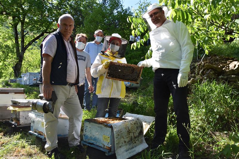 Genç çiftçi 40 kovan arısını 100 kovana çıkarttı