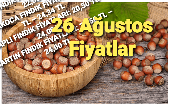 FINDIK ANILARI: BİR ÇUVAL FINDIĞA TRANSFER