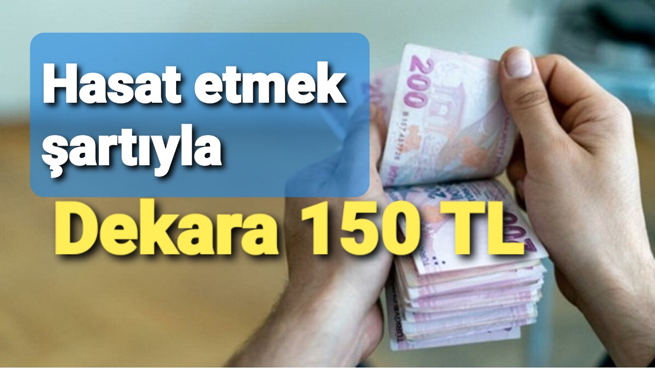DEKAR BAŞI ÖDENMESİ KESİNLEŞTİ...