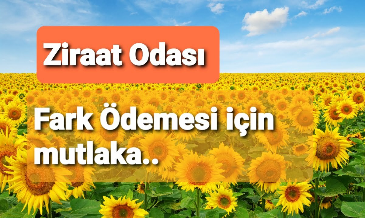 Ziraat Odası hatırlattı.. fark ödemesi alabilmek için