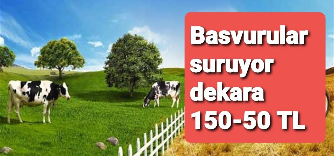 2022 yılı “Yem Bitkileri Desteklemesi” Müracaatları