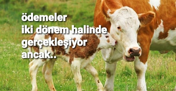 ÖDEMELER, İKİ DÖNEM HALİNDE GERÇEKLEŞTİRİLİYOR