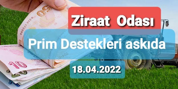PRİM DESTEĞİ ASKIDA