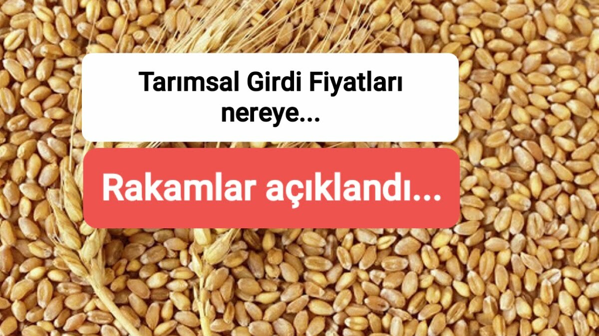 GIRDİ FİYATLARI REKOR KIRIYOR.