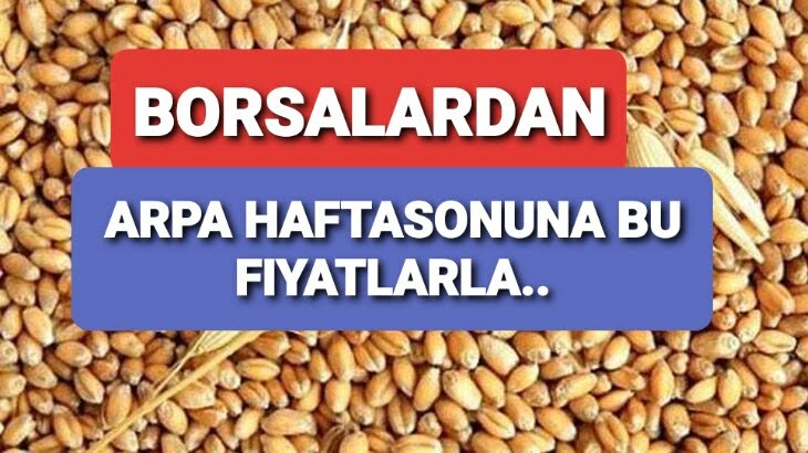 BORSALARDA ARPA FİYATLARI