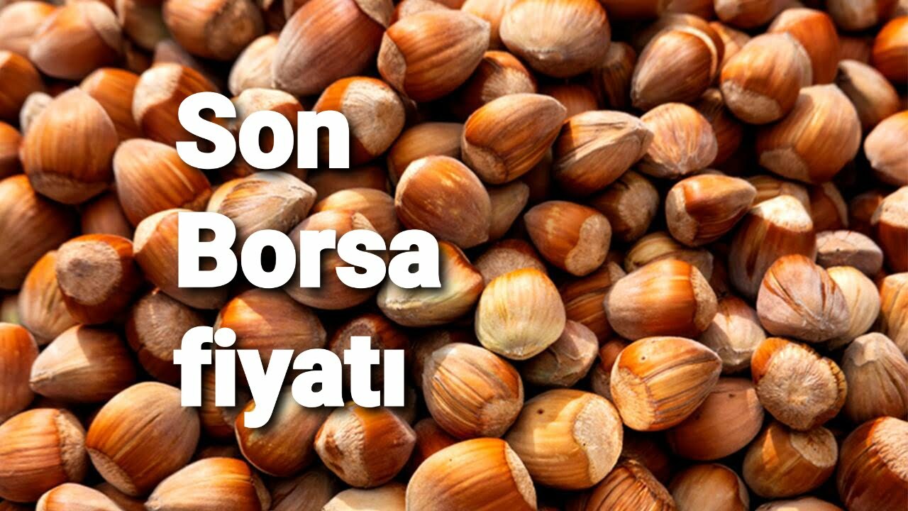 SON BORSA FİYATI