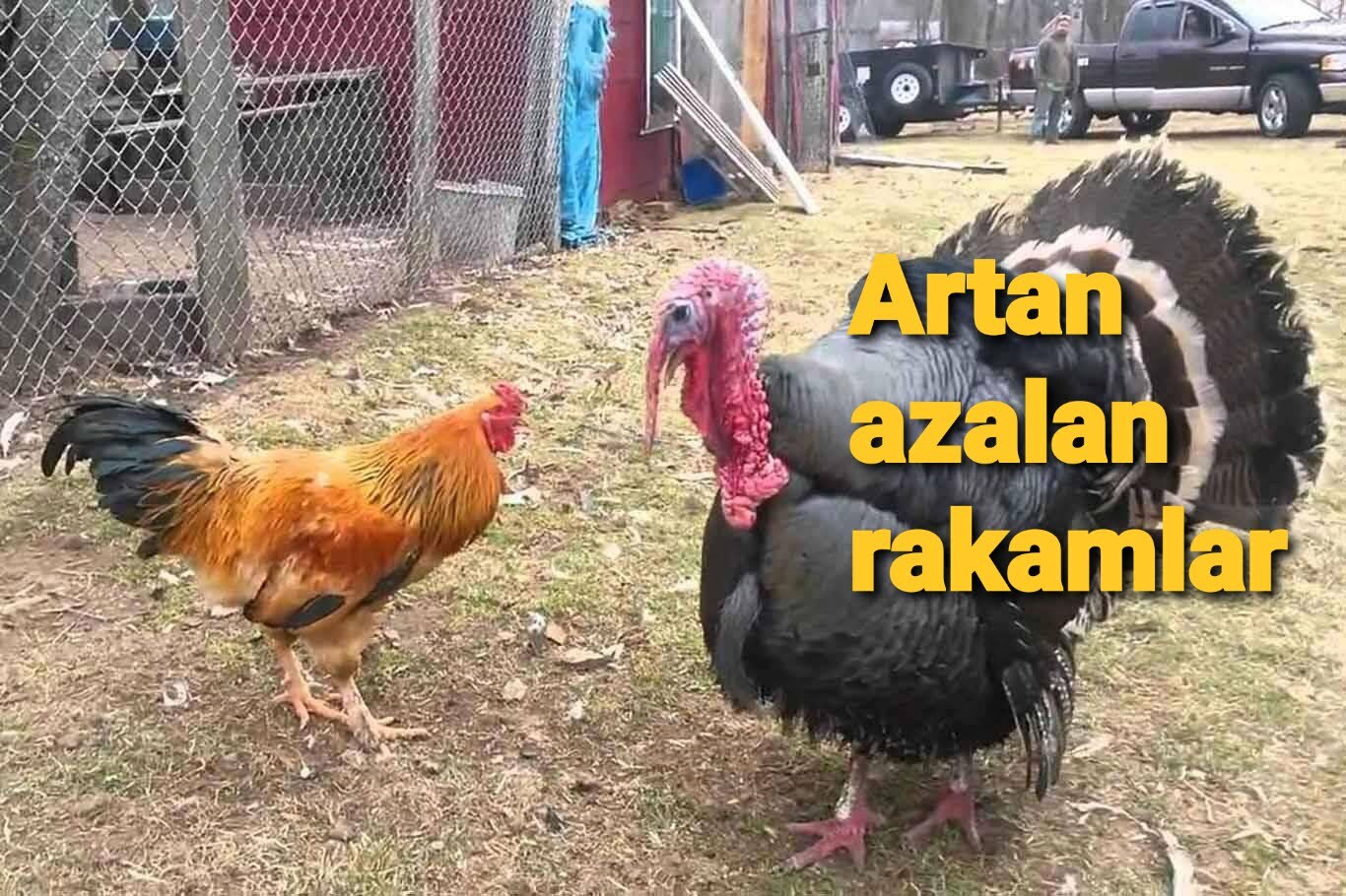 Beyaz ette artan ve azalan rakamlar