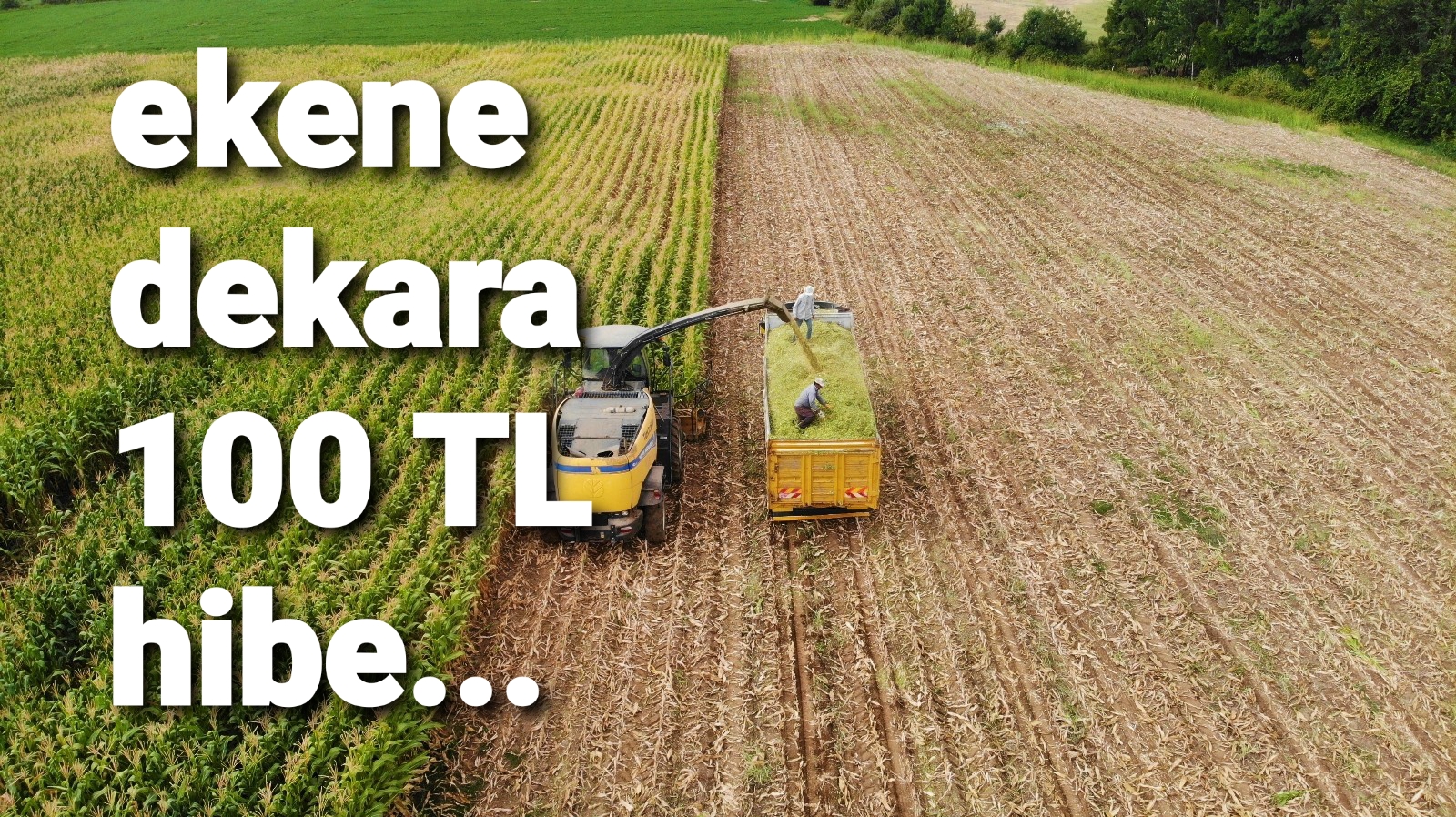 SİLAJLIK MISIR EKENE DEKARA 100 TL HİBE..