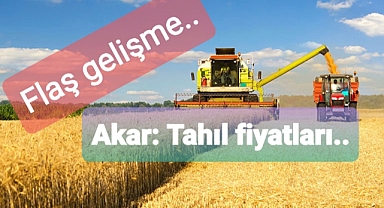 Tahıl sevkiyatı üssü İstanbul'da