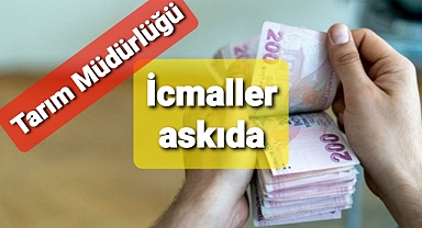 2021 üretim yılına ait Lisanslı Depoculuk Destekleme İcmalleri