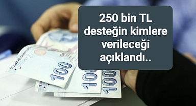 250 bin TL devlet desteğinin kimlere verileceği açıklandı...