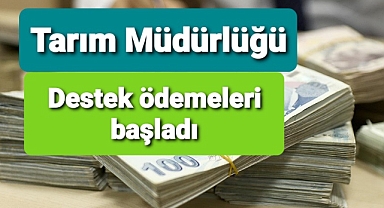Destek ödemeleri başladığı açıklandı