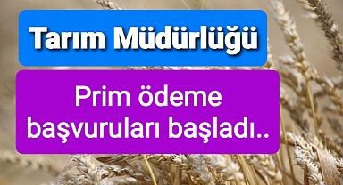 Arpa buğday prim ödeme başvuruları başladı