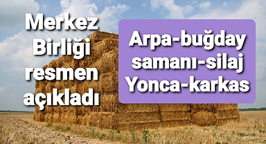 Arpa buğday saman fiyatları, yonca, silaj karkas düve