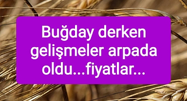 Arpa fiyatlarında dikkat çeken gelişme..