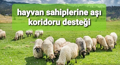 Aşı koridoru desteği