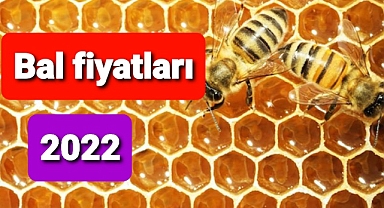 Bal fiyatları 2022
