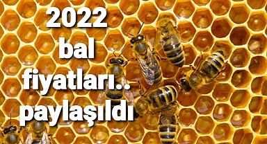 Bal fiyatları yayınlandı