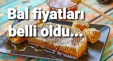 Bal fiyatları belli oldu
