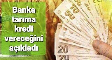 Banka 500 bin TL kredi verecek