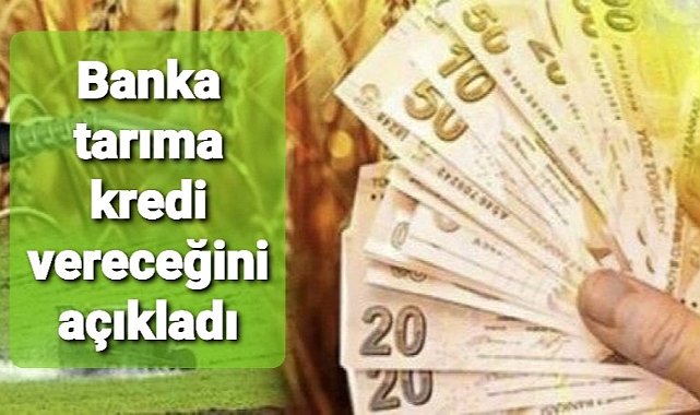 Banka 500 bin TL kredi verecek