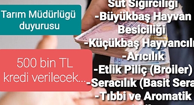 Banka 500 bin TL kredi verecek