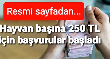 Başvurular resmi sayfadan duyuruldu