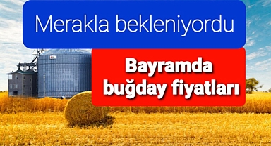 Bayramda buğday fiyatları ne kadar oldu?