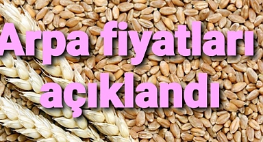 Borsadan son arpa fiyatları..