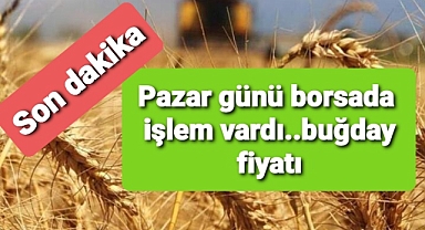 Borsalarda pazar günü de işlem vardı.. fiyatlar