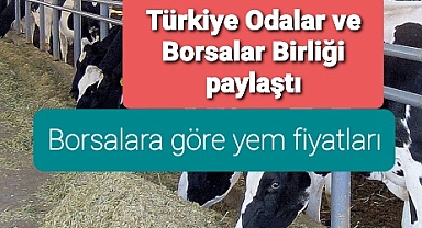 Borsalardan yem fiyatları