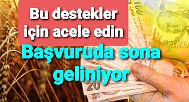 bu destek için acele edin