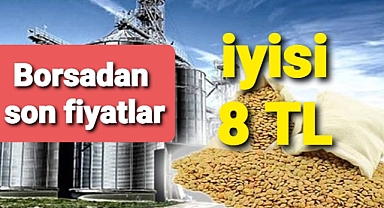 Grain and Legume Crops Insights and Updates