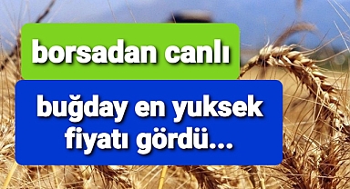 Buğday en yüksek fiyatı gördü