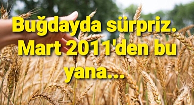 Buğday fiyatlarında ilginç gelişme