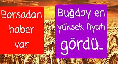 Buğday fiyatları en yüksek seviyede...