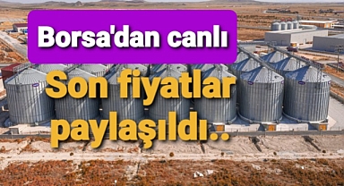 Buğday fiyatları yatay seyrediyor