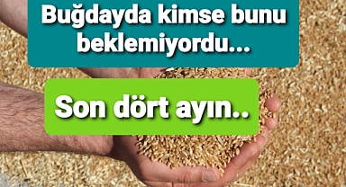 Buğday fiyatları kimse beklemiyordu..