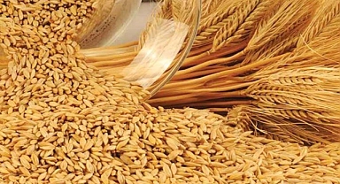Buğday fiyatları kıpırdadı..