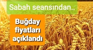 Buğday fiyatları paylaşıldı