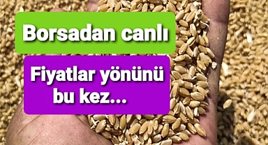Buğday fiyatları yönünü...