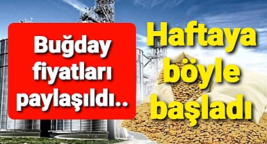 Buğday haftaya böyle başladı