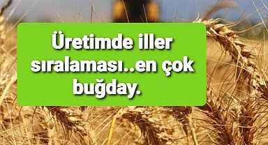 Buğday üretiminde iller sıralaması belli oldu.. Birinciliği