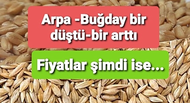 Buğday ve arpa fiyatları yükselişte