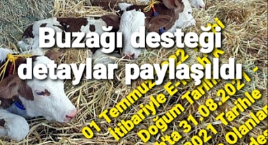 buzağı desteğiyle ilgili ayrıntılar...